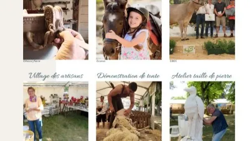 Châtillon-sur-Seine : deux jours de fête pour célébrer les talents...