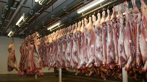 L’abattoir de Venarey-Les Laumes mis en demeure par la préfecture