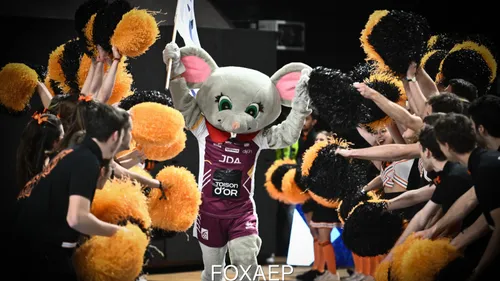 Handball féminin: La JDA Dijon veut faire trembler Metz au Palais...