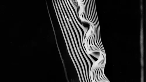 Beaune rend hommage à Étienne-Jules Marey, pionnier de la...