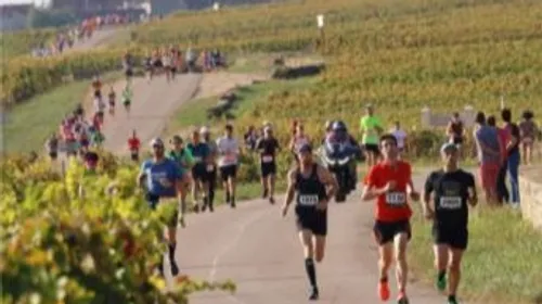 Sport, fête et terroir : Le Marathon des Grands Crus revient en...