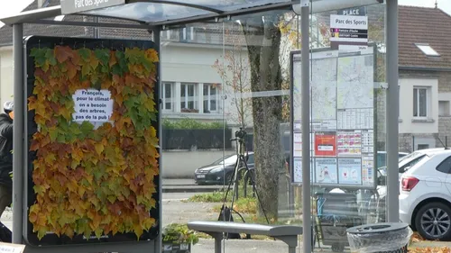 L’association « les amis de la terre Côte-d'Or » a fêté ses 10 ans 