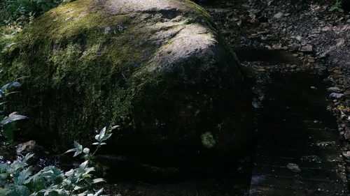 Venez découvrir les poches d'eau du sous-sol dijonnais 