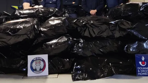 289 kilos d'herbe de cannabis saisis par les douanes de Dijon  