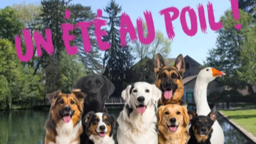 Festival Scène d’Été 2025 à Beaune