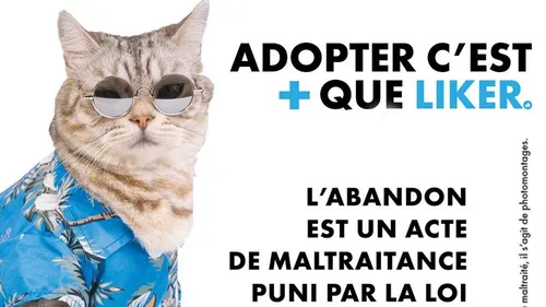 La ville de Dijon s’engage contre l'abandon des animaux de compagnie