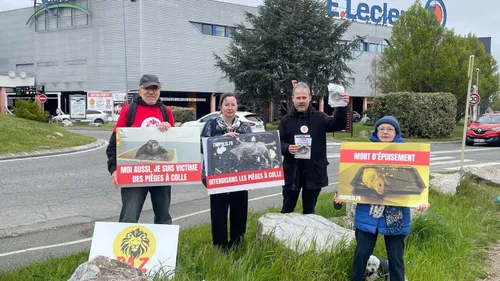 « D’une extrême cruauté » : une association de protection animale...