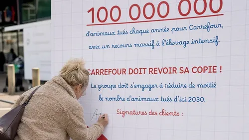 Dijon : L214 organise une « rentrée pas classe » devant Carrefour à...
