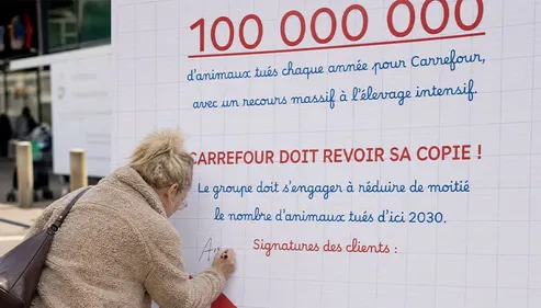 Dijon : L214 organise une « rentrée pas classe » devant Carrefour à...