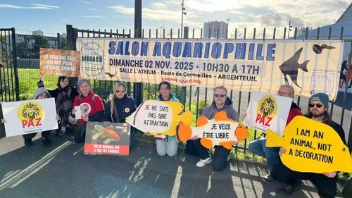 Concours aquariophile à Dijon : L’association PAZ dénonce une «...