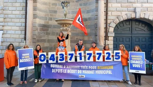 L214 alerte les candidats à la mairie de Dijon sur le nombre...