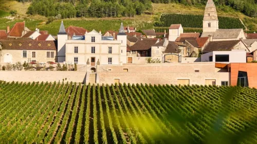 Vignobles en Scène : vivez la magie de l’automne au cœur du...