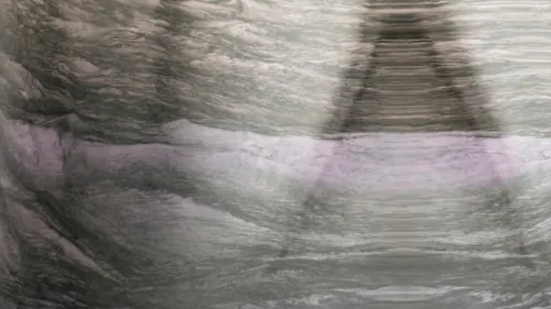 Une exposition immersive entre photographies et sculptures