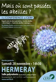 Mais où sont passées les abeilles ?