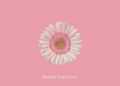 Lara Fabian promet une mystérieuse annonce