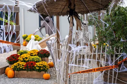 Halloween au refuge La Tanière
