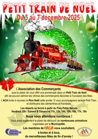 PETIT TRAIN DE NOEL