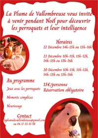 Ateliers découvertes des perroquets 