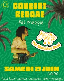 Concert Reggae au Meeple