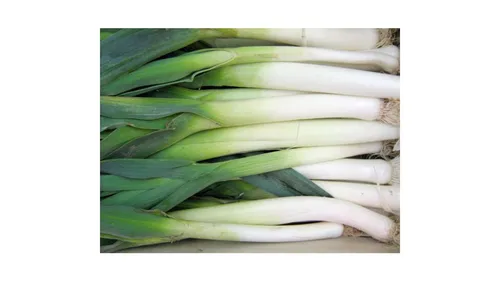 France : alerte sur les poireaux !