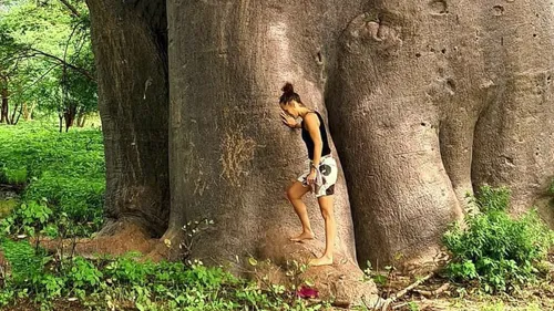Zaz annule des concerts... car elle n'est pas vaccinée contre le...