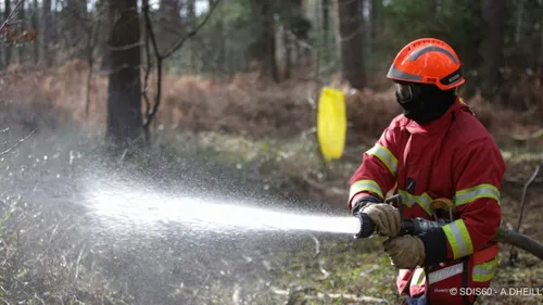 La Seine-et-Marne a elle aussi été touchée par les feux de forêt