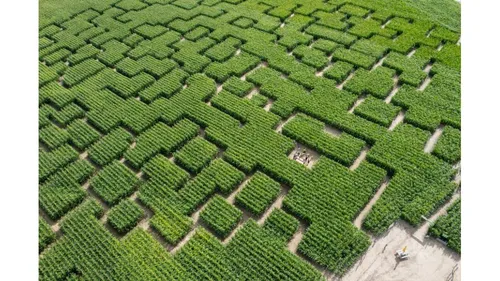 Popcorn Labyrinthe à Rouvres 
