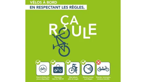 La réservation désormais obligatoire pour votre vélo sur sept...