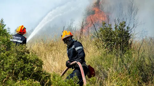 Plus de 100 millions d'euros d'aide suite aux incendies du Sud-Ouest