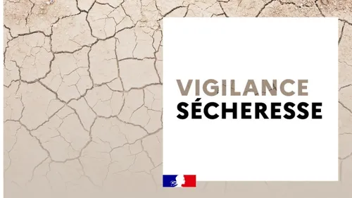 Essonne : la sécheresse estivale inquiète 