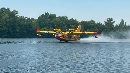 Incendie en forêt de Fontainebleau : plus de 800 hectares détruits,...