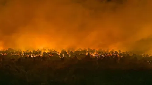 Trois reprises de feu « modérées » en forêt de Fontainebleau,...