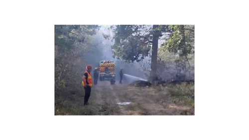 Une enquête ouverte après un violent feu de forêt dans le sud Yvelines