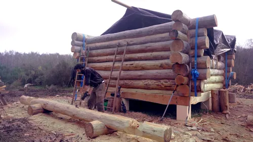 Vianney prêt à « sortir de sa forêt »