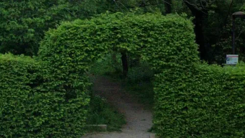 Un sexagénaire condamné pour exhibition sexuelle dans le bois...