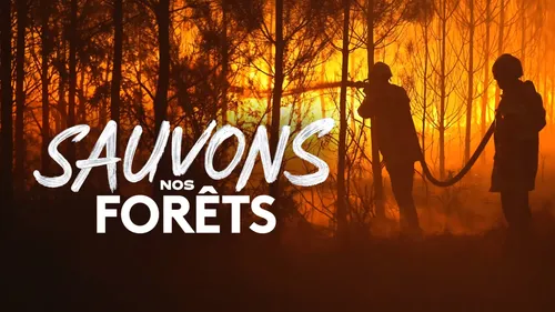 L'émission consacrée aux feux qui ont ravagé la forêt de...