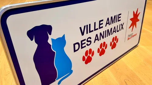Île-de-France : quelles communes décrocheront le label « Ville amie...