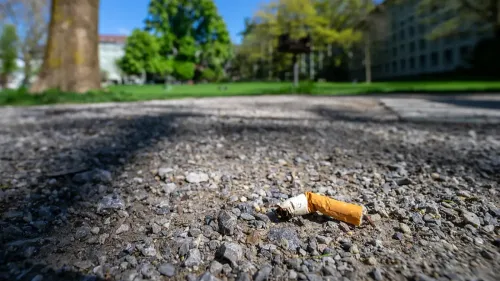 Celle-Saint-Cloud : un homme arrêté pour avoir jeté sa cigarette...