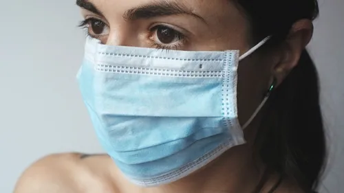 Un premier cas confirmé d’Hantavirus en France