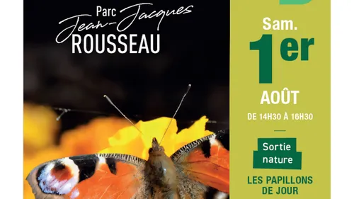 Les papillons de jour se dévoilent au parc d’Ermenonville