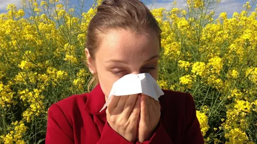 Le retour des pollens fait des dégâts chez les Franciliens...