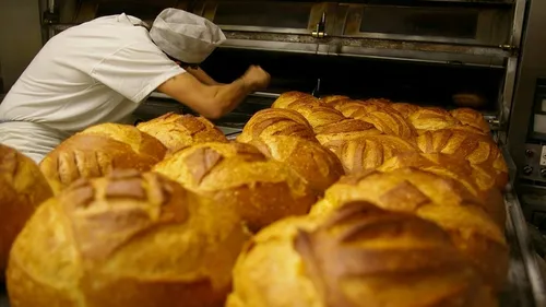 Boulangerie de Claye‑Souilly fermée pour graves manquements d’hygiène