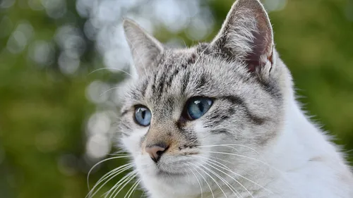 Deux communes franciliennes dans le top 10 des villes où il fait...