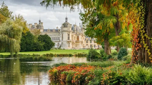 Un jardin de 300 pivoines bientôt inauguré au château de Chantilly...