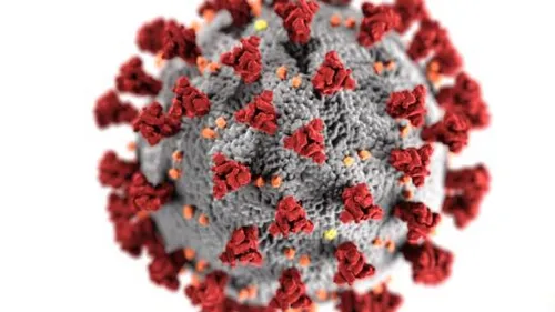Covid long : le Ceser Hauts-de-France alerte sur une « épidémie...