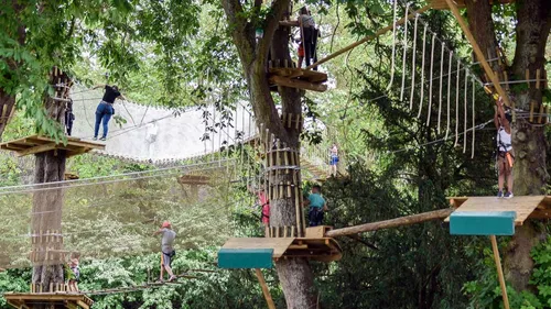 Il vaut mieux se lever tôt pour taquiner la cime des arbres à Chartres