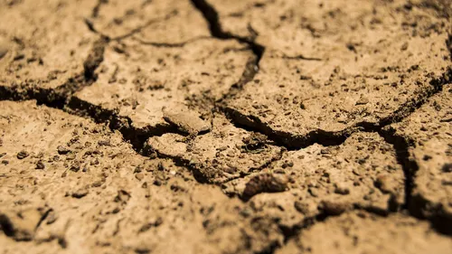 Les fermes bio durement touchées par la canicule et la sécheresse...