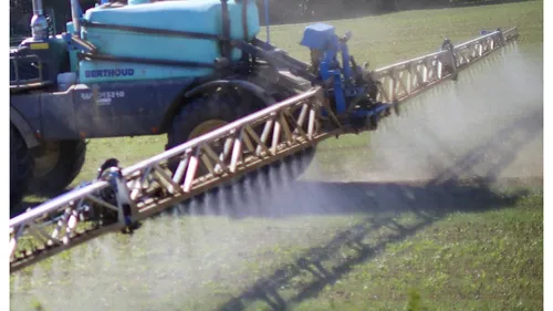 Hauts-de-France : les producteurs de betteraves voudraient...