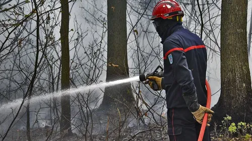 La canicule a de lourdes conséquences