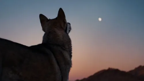 Écoutez (et regardez) ce clip inédit de Johnny Hallyday !